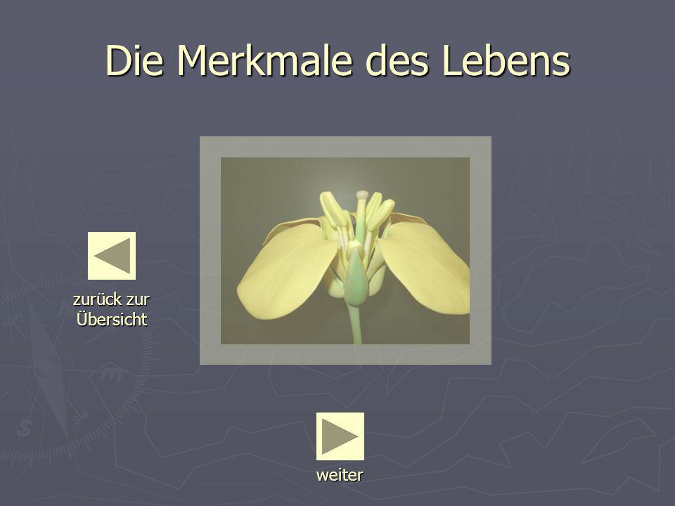 Bei mir der Alkoholismus bin ich schwanger ge worden